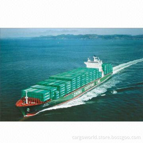 Fast Ocean/Air Freight Service from Shenzhen/Hong Kong/Guangzhou/Ningbo/Shanghai/Tianjin/Qingdao